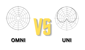 The Difference Between Omnidirectional and Unidirectional Microphones