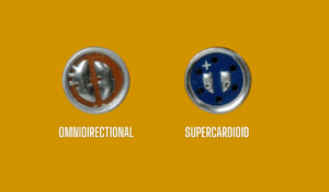 Structural Differences Between Omnidirectional and Supercardioid Electret Microphones