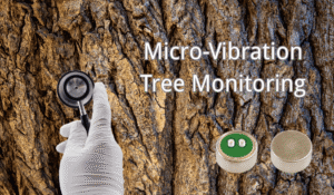 現代のオーディオ機器およびセンシングデバイスにおける微振動センサー