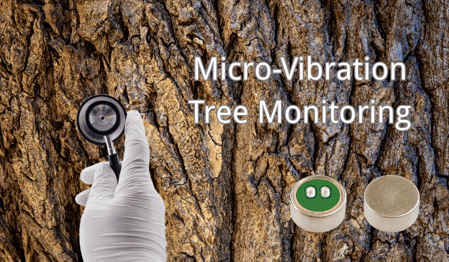 ECM-B9745AL70-318A センサーは聴診器を用いて微細な樹木の振動を捕捉する